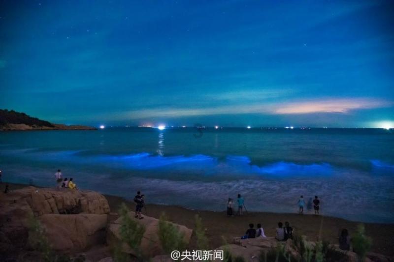 怎么样才算戒烟成功游戏画面